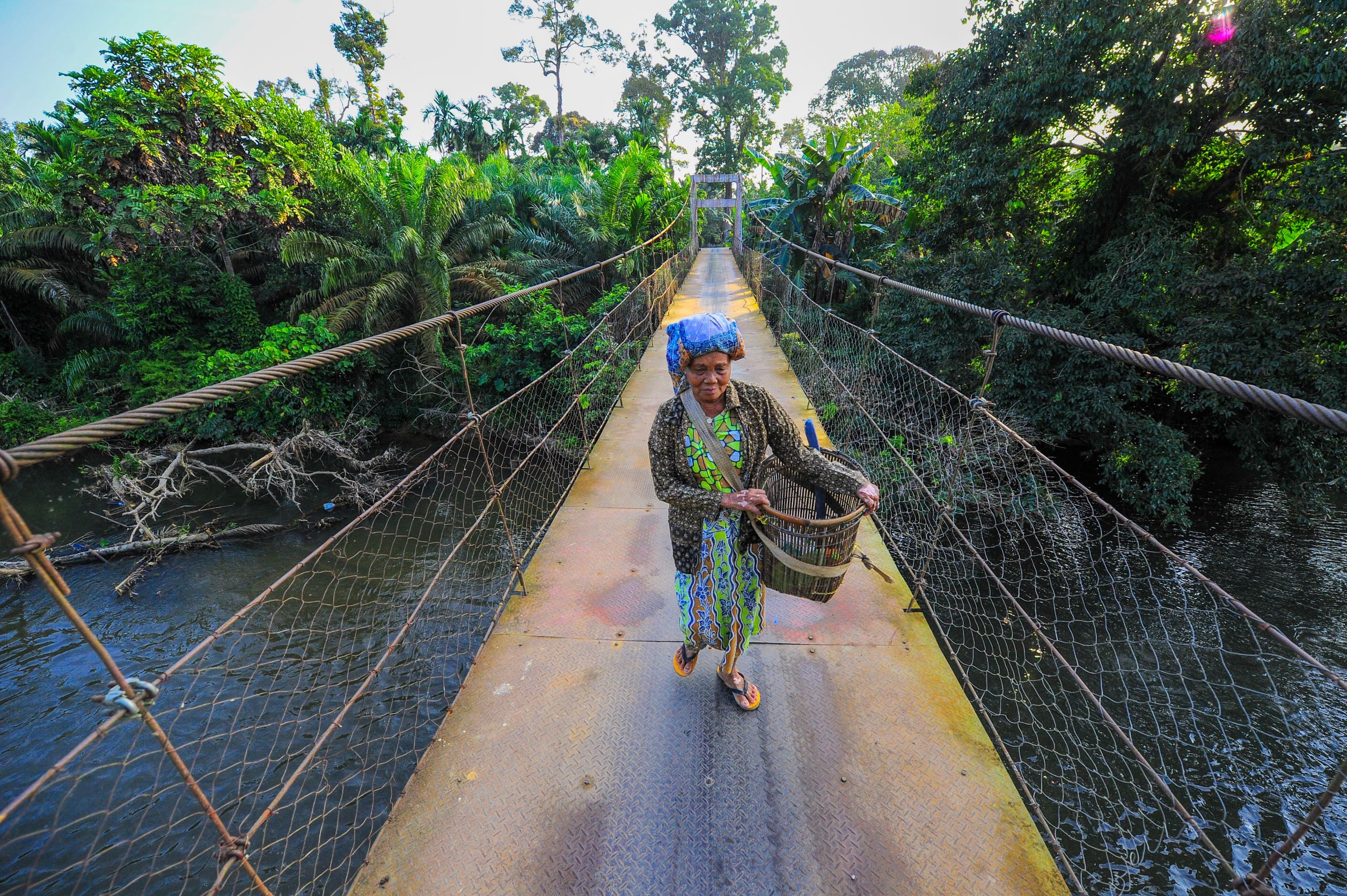 Bergandengan Tangan demi Pemulihan Hutan dan Sungai