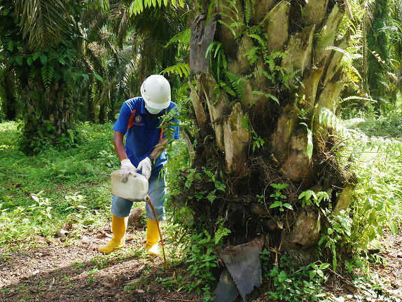 Aplikasi Pertanian Regeneratif FPS-MRM, Simak Yuk untuk yang Mau Coba!