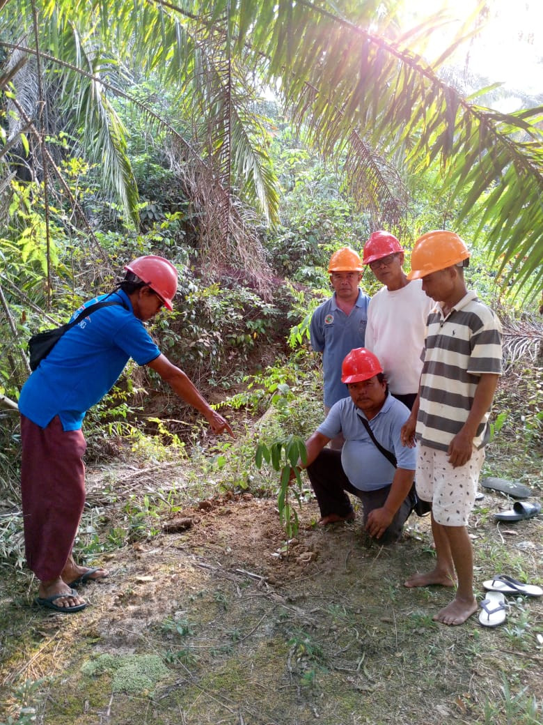 Kepedulian KUD Sumber Rejeki terhadap Alam, Sosial, dan Masa Depan