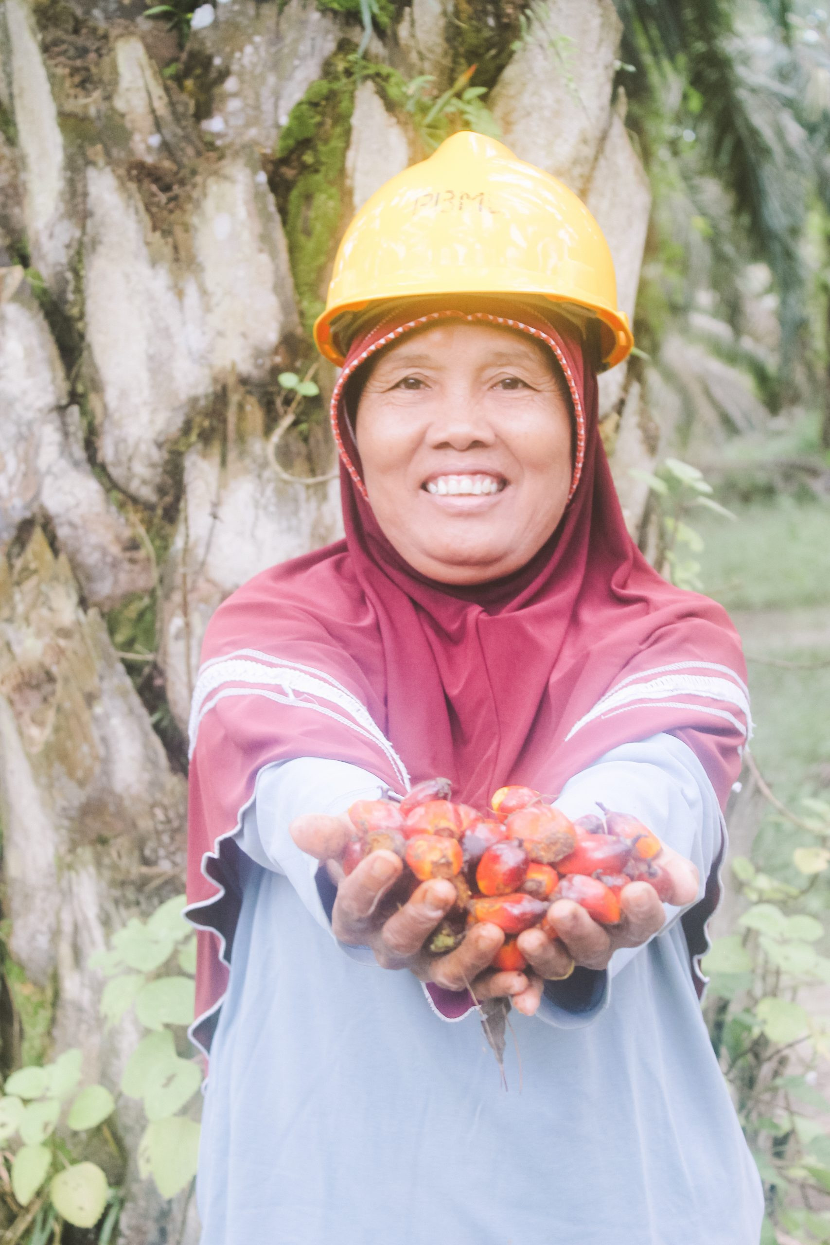 Ketika Sertifikasi Sustainability jadi Penolong ditengah Pandemi Covid 19