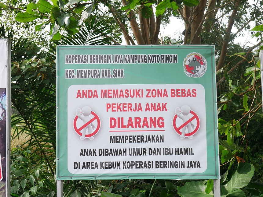 Opini: Hari Anak Nasional dan Industri Kelapa Sawit yang Berkelanjutan