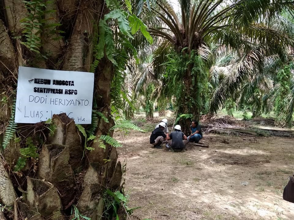 Petani Mandiri Terima Dana Insentif Sertifikasi 1,1 Juta U$ Tahun 2020