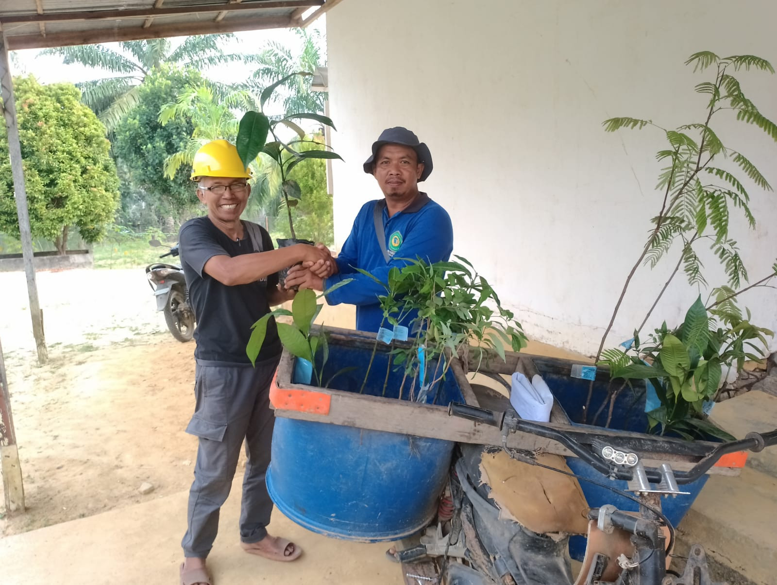 Koperasi Rimba Harapan: Sawit Bukan Hanya Bisnis, Alam juga Perlu Dijaga