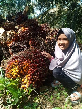 Terima Insentif RSPO