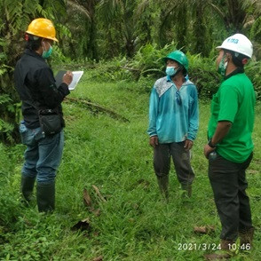P&G dan Give and Go Dukung Petani Swadaya Indonesia