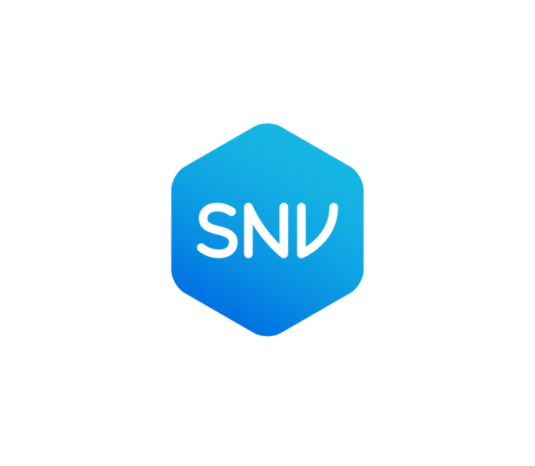 snv logo renew